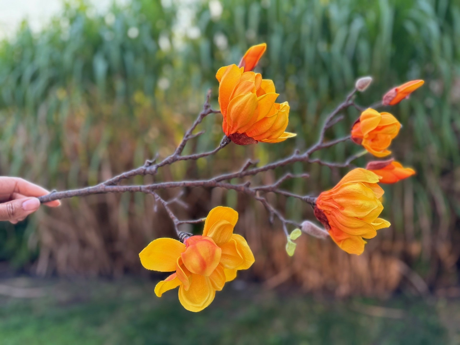 magnolia flowers branches faux